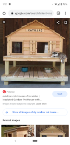 Outside cat shelter diy sale